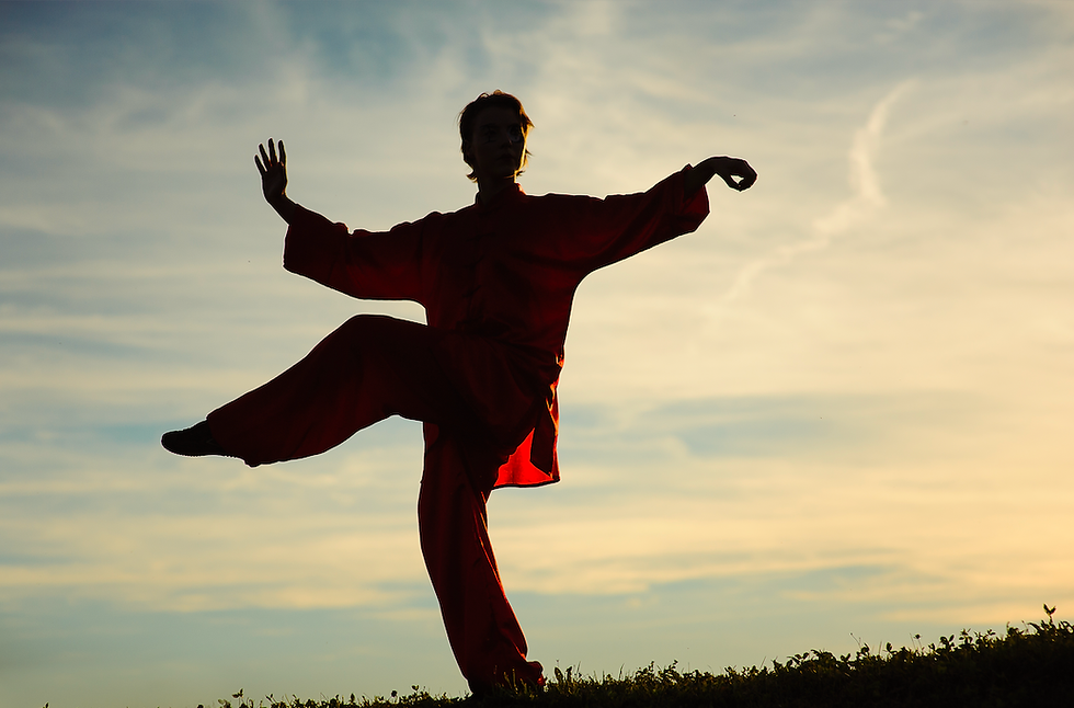 Martial Arts is the Best Meditation