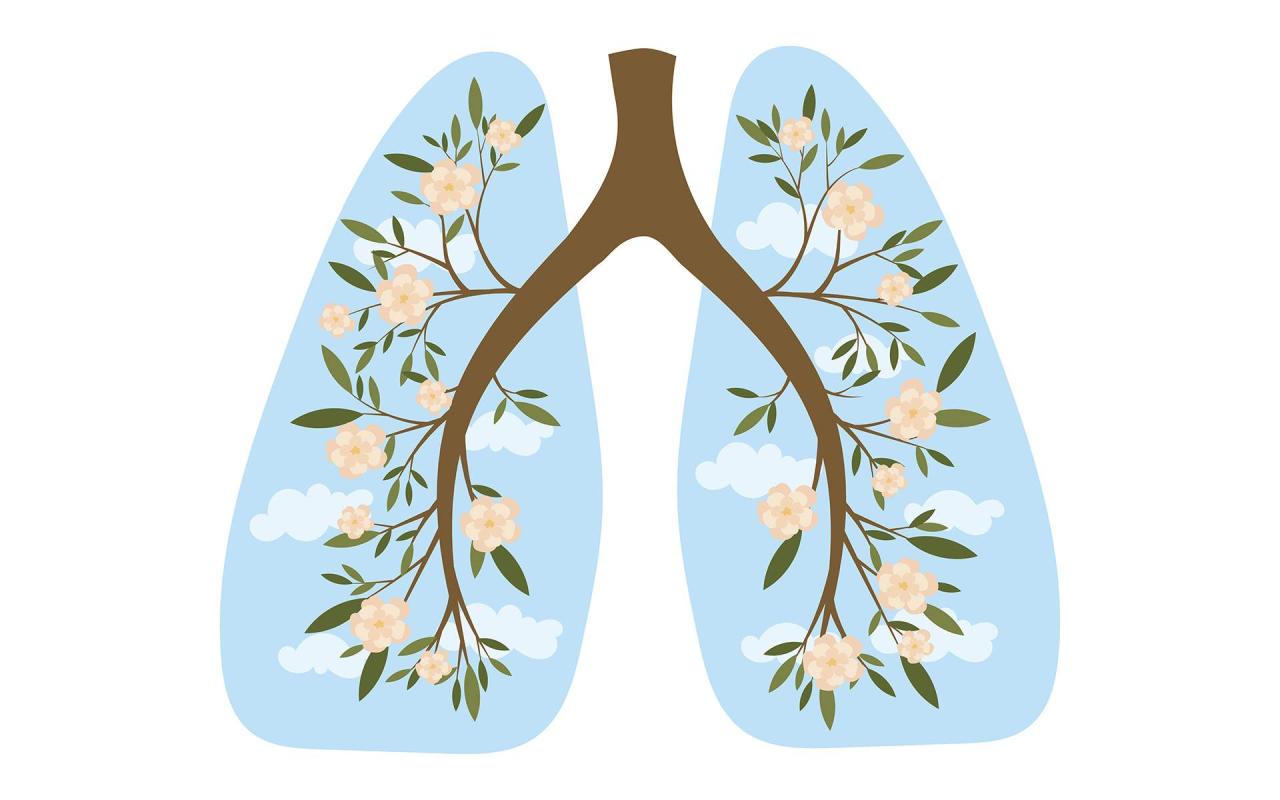 A 12-Minute 4-7-8 Breathing Meditation