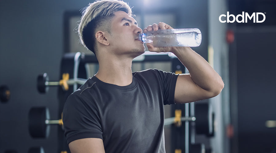 Best Post Workout Recovery | 13 Strategies | The Body Bulletin ...