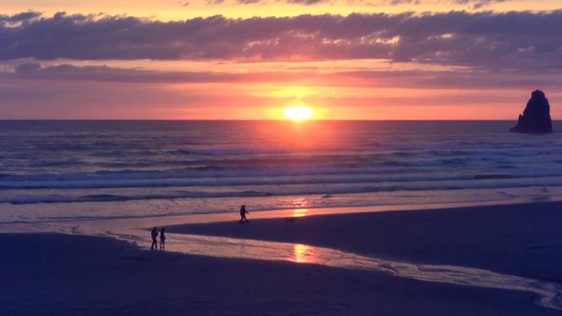 Pre-Exercise Meditation: Meditate Before a Workout | Meditation Video