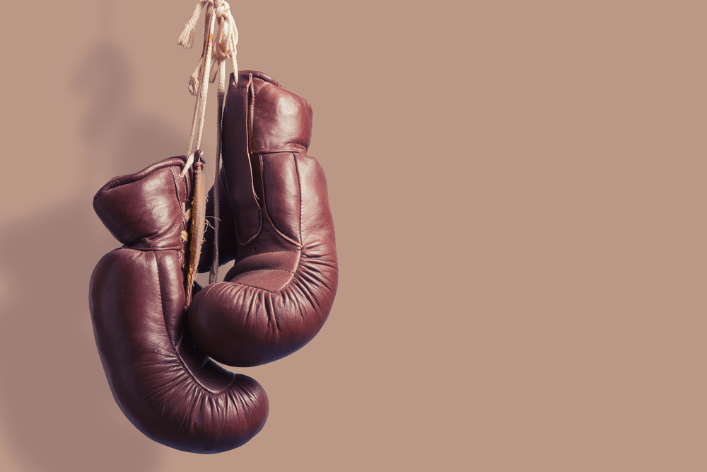 Boxing tutorial - About the Tutorial Boxing requires a lot of self ...